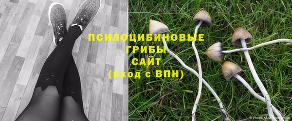 винт Алексеевка