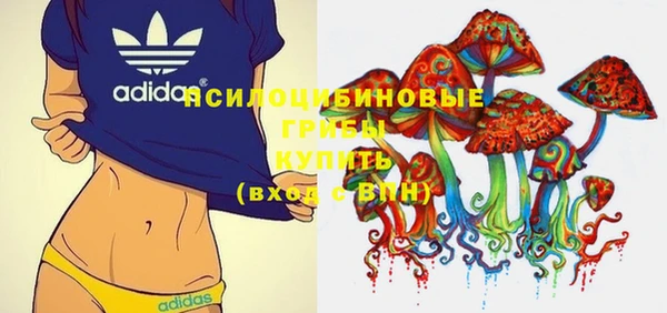 винт Алексеевка