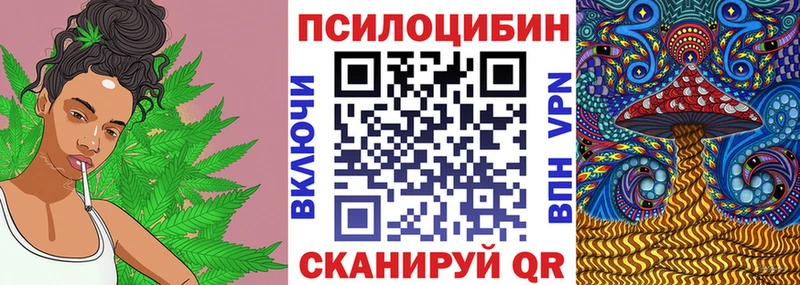 KRAKEN   Камышин  Псилоцибиновые грибы прущие грибы 